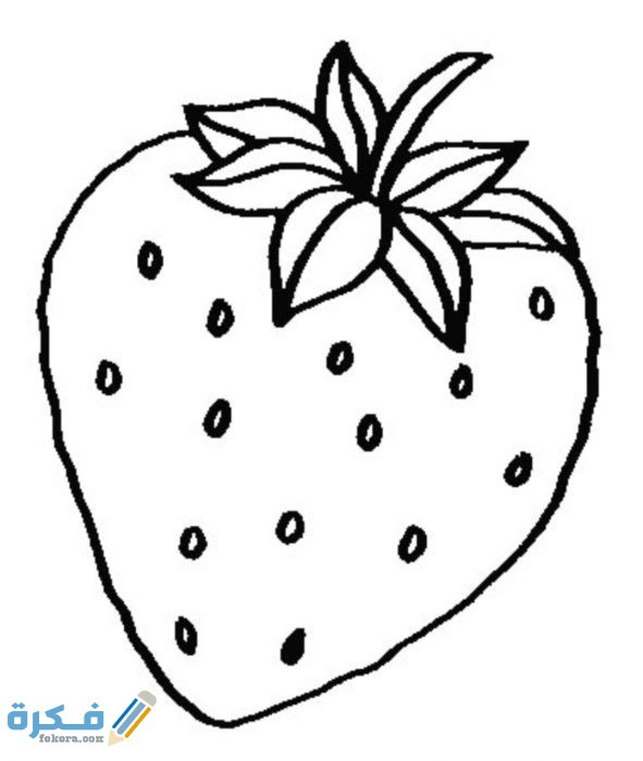 IMG ٢٠٢٠١٠٢٥ ١٣٠٥١٣