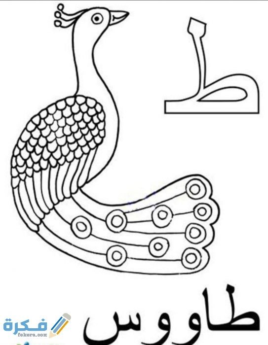 IMG ٢٠٢٠١٠٢٥ ١٣٢٠٥٥