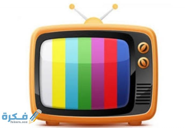 IMG ٢٠٢٠١٠٢٦ ٠٩٢٩٤٤