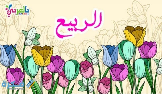 خاتمة عن فصل الربيع IMG ٢٠٢٠١٠٢٧ ٠١٠٧١٠