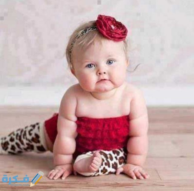 IMG ٢٠٢٠١٠٢٧ ١٠٢٨١٦