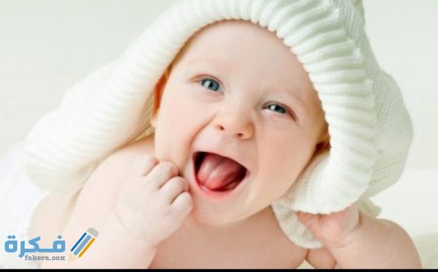 IMG ٢٠٢٠١٠٢٧ ١٠٢٩١٢