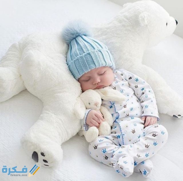 IMG ٢٠٢٠١٠٢٧ ١٠٣١٤٢