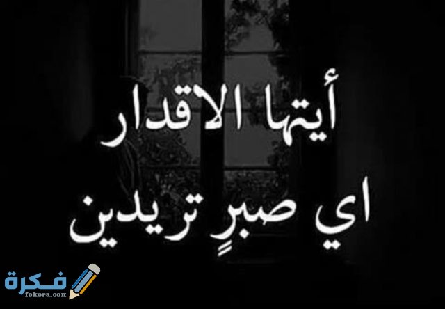 IMG ٢٠٢٠١٠٢٧ ١٢٤١٣٧