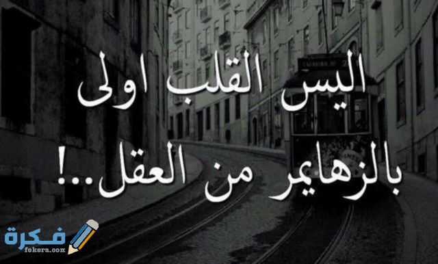 IMG ٢٠٢٠١٠٢٧ ١٢٤١٥٤