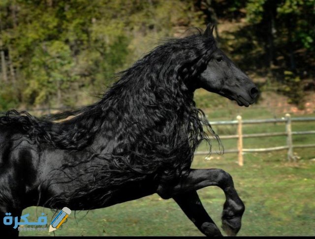 IMG ٢٠٢٠١٠٢٧ ١٤٠٢٥١