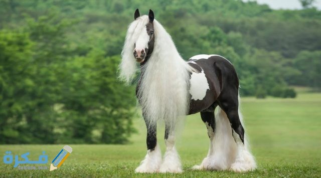 IMG ٢٠٢٠١٠٢٧ ١٤٠٣٥٨