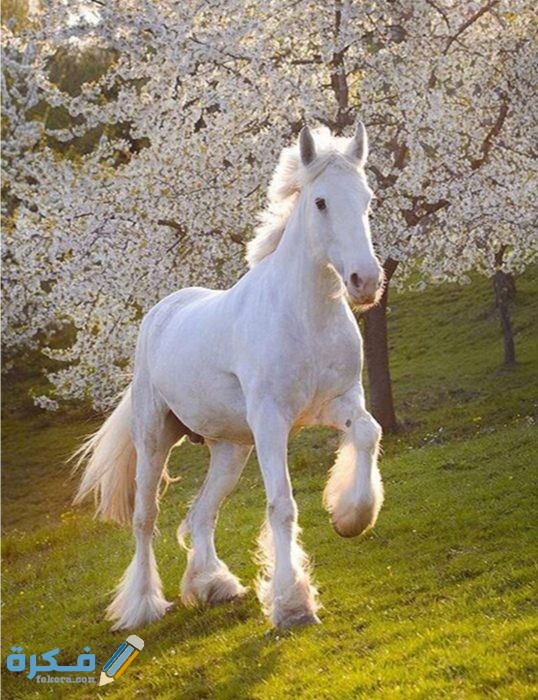 IMG ٢٠٢٠١٠٢٧ ١٤٠٤١١