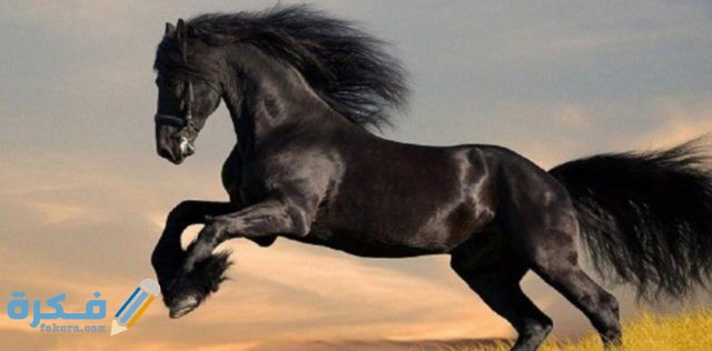 IMG ٢٠٢٠١٠٢٧ ١٤٠٥٥٢