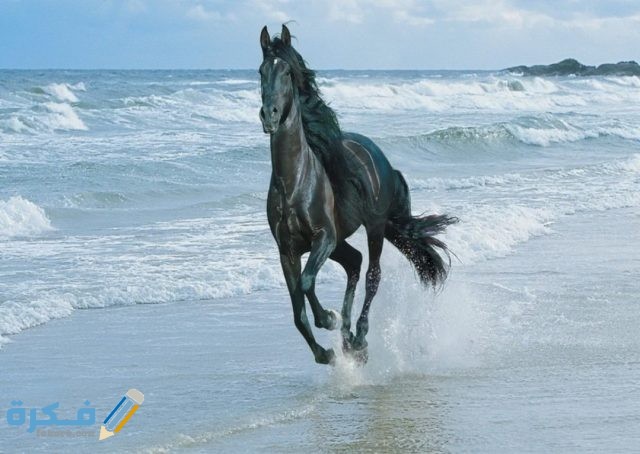 IMG ٢٠٢٠١٠٢٧ ١٤٣٩١٢