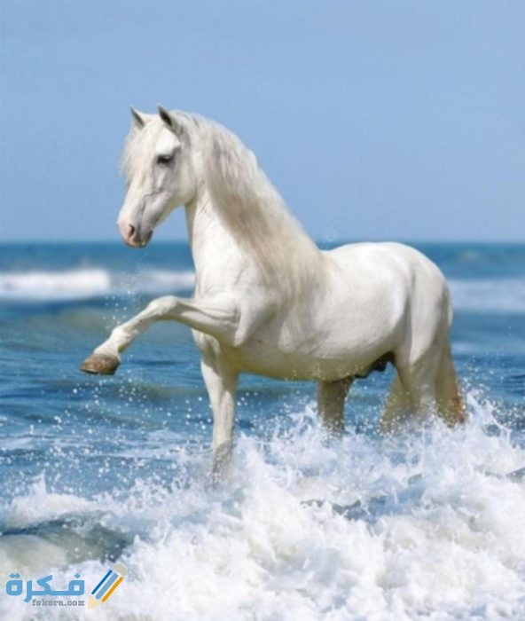 IMG ٢٠٢٠١٠٢٧ ١٤٣٩٣٣