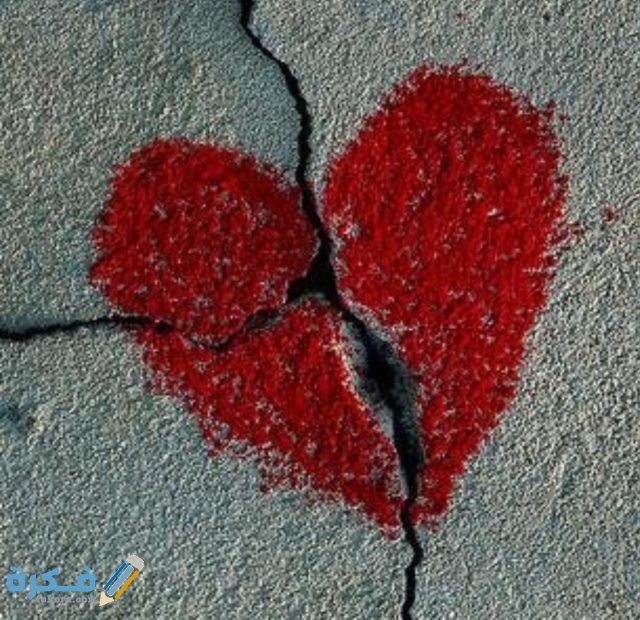 IMG ٢٠٢٠١٠٢٧ ١٨٠٢٣٩