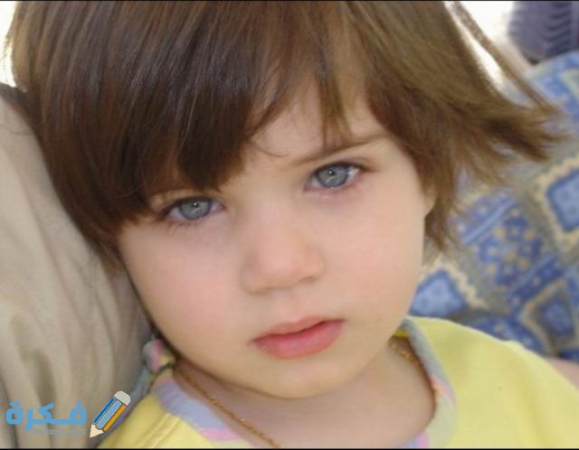 IMG ٢٠٢٠١٠٢٧ ١٨١٢٠٦