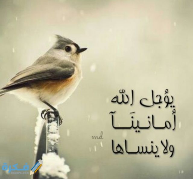 IMG ٢٠٢٠١٠٢٧ ١٨٢٨١٨