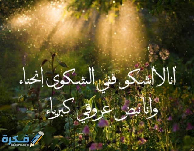 IMG ٢٠٢٠١٠٢٨ ١٥٠٨٤٨