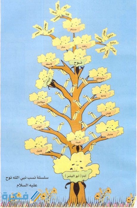 IMG ٢٠٢٠١٠٢٨ ١٥١٧٥٤