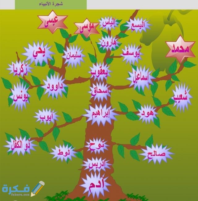 IMG ٢٠٢٠١٠٢٨ ١٥١٨٢٥