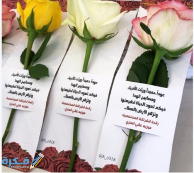 IMG ٢٠٢٠١٠٢٩ ٠٠١٤٣٣