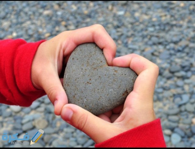 IMG ٢٠٢٠١٠٢٩ ١١٥٥١٦