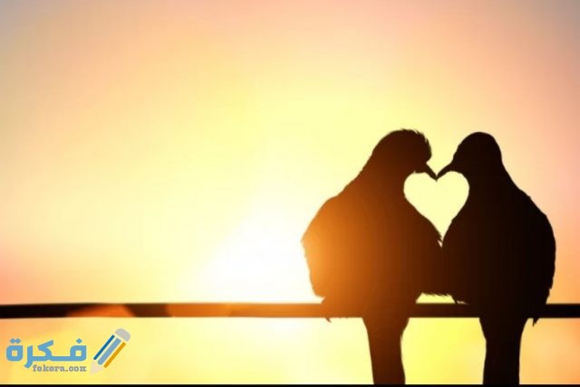 IMG ٢٠٢٠١٠٢٩ ١١٥٨٥٣