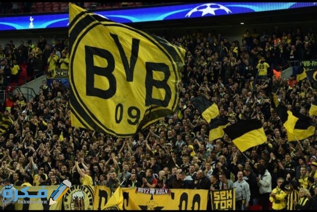 IMG ٢٠٢٠١٠٣٠ ٠٩٤٣٤٠