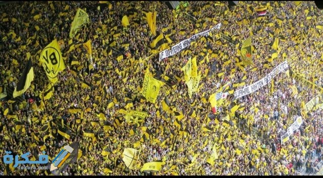 IMG ٢٠٢٠١٠٣٠ ٠٩٤٩٢٣