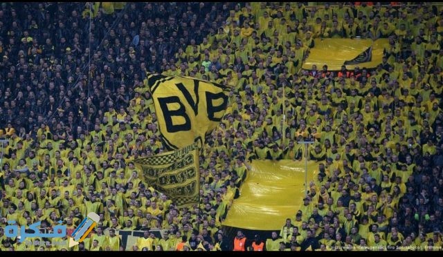 IMG ٢٠٢٠١٠٣٠ ٠٩٤٩٤٢