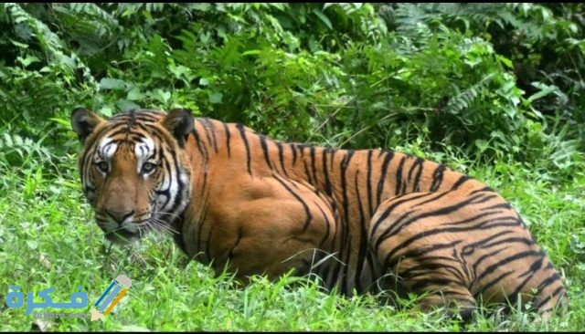 IMG ٢٠٢٠١٠٣١ ٠٦١٤٥١