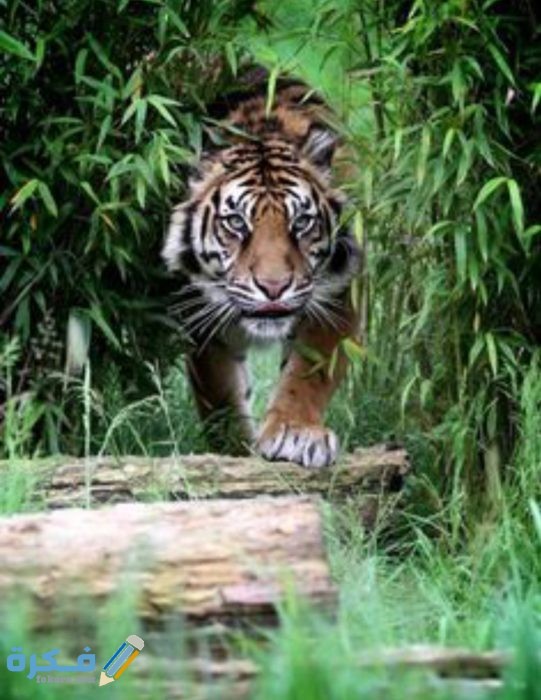 IMG ٢٠٢٠١٠٣١ ٠٦١٦٥٧