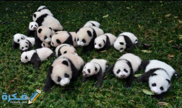 IMG ٢٠٢٠١٠٣١ ٠٧٠٥٠٥