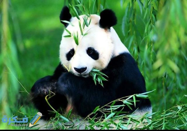 IMG ٢٠٢٠١٠٣١ ٠٧٠٥١٩