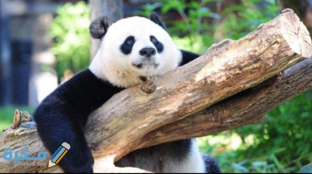 IMG ٢٠٢٠١٠٣١ ٠٧٠٥٣٥