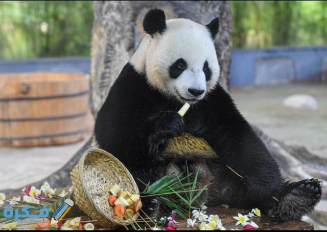 IMG ٢٠٢٠١٠٣١ ٠٧٠٦١٩