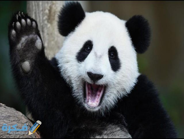 IMG ٢٠٢٠١٠٣١ ٠٧٠٦٤٨