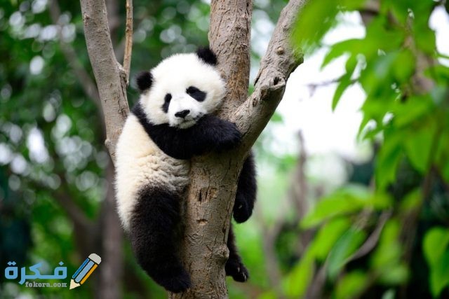 IMG ٢٠٢٠١٠٣١ ٠٧٠٧١٦