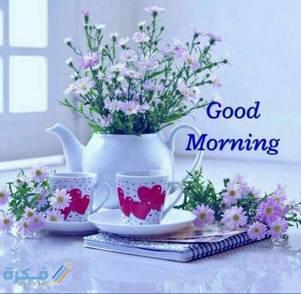 ما هو الرد على good morning cute good morning pics
