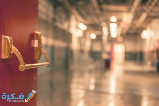 pexels gratisography 451