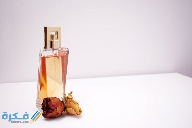 pexels photo 1190829