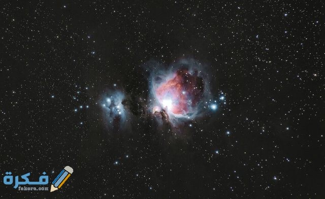 pexels photo 3805983