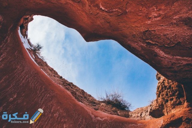 pexels shuxuan cao 5051156