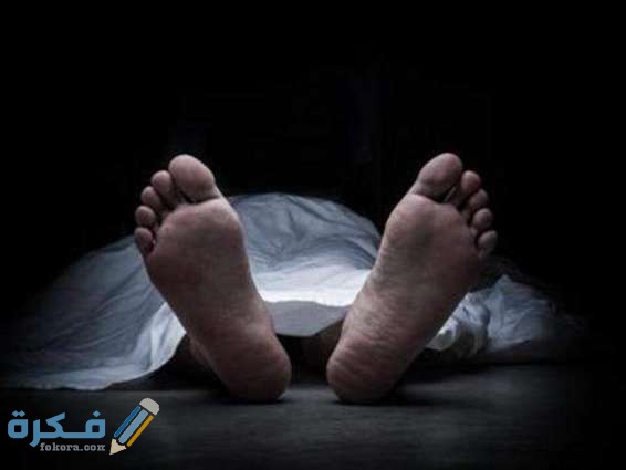 pic 1484848714 IvsGc9G1I3