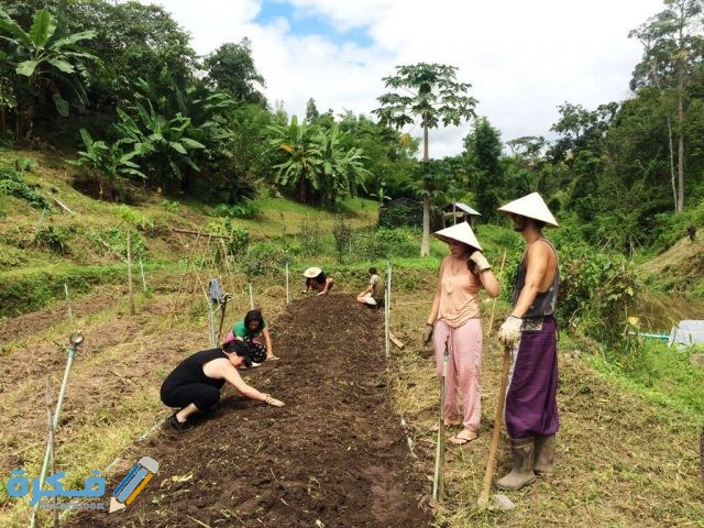 السفر-التطوعي زراعه الحقول السفر التطوعي زراعه الحقول