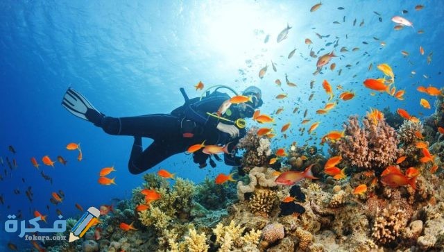 الغطس في برهنتيان