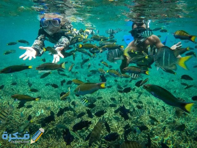 الغوص في برهنتيان ماليزيا