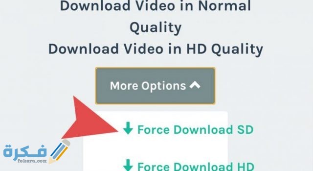 كيفية تحميل فيديو من الفيس بوك الى الهاتف 2 740x404 1