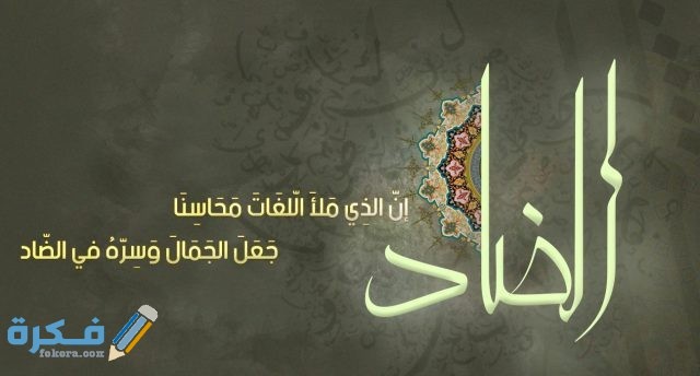 127 161806 arabic facts numbers international day 2