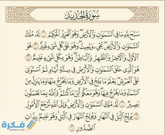 5bcfeb1504446f00110a5d1e.825e3425f06b4c655eafa70f