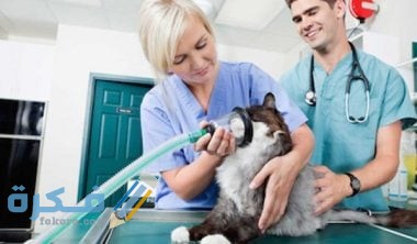 90380319 E5EF 40DA 8169 7E61D1DF2625