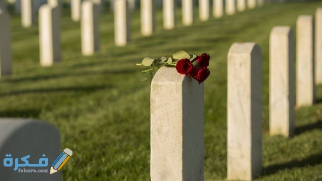 GettyImages 678818383 b34a7aa283284a808d5dc67b7196ea10