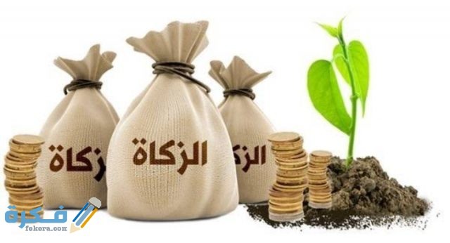 IMG ٢٠٢٠١١٠٩ ٠٠٠٨٤٠